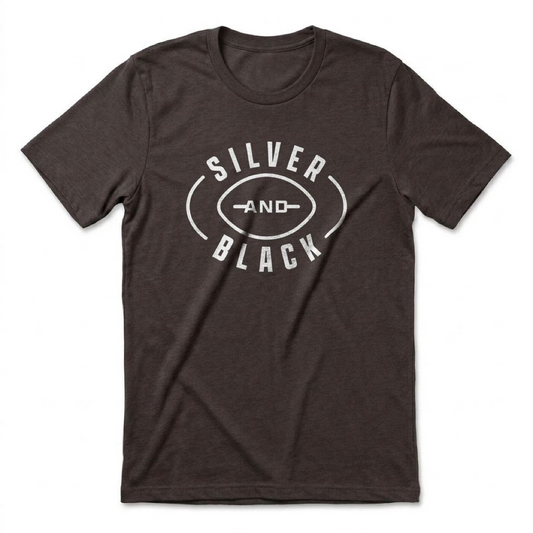 Silver and Black Football Las Vegas Raiders t-shirt in vintage black