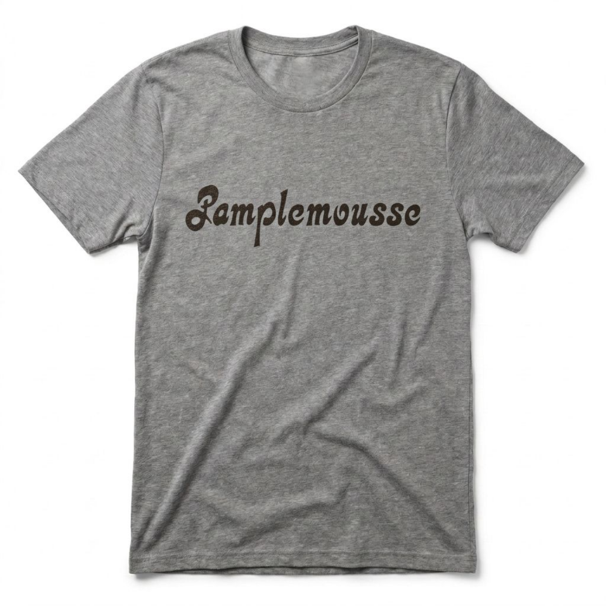 Pamplemousse Las Vegas t-shirt in premium heather