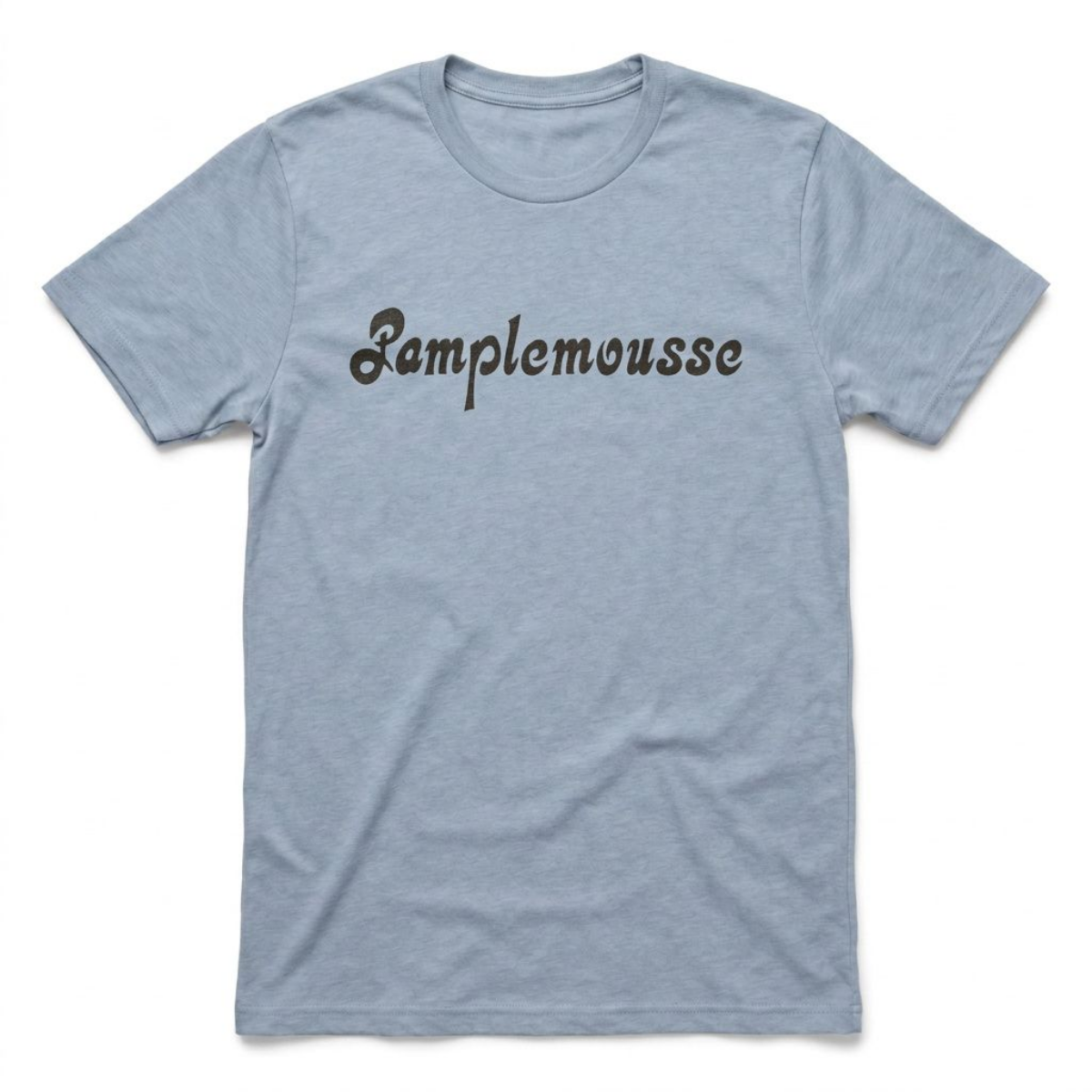 Pamplemousse Las Vegas t-shirt in vintage stonewash denim