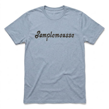 Pamplemousse Las Vegas t-shirt in vintage stonewash denim