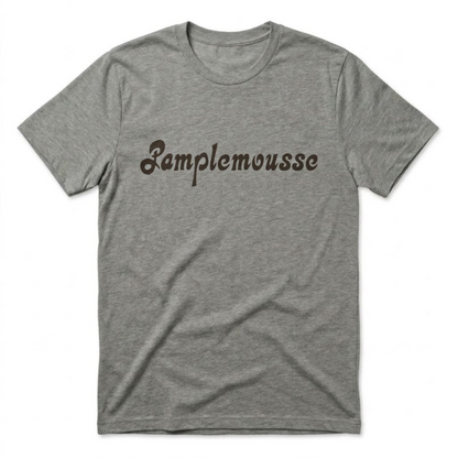 Pamplemousse Las Vegas t-shirt in venetian gray